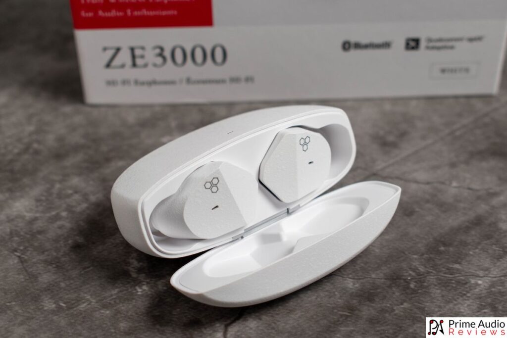 final ZE3000 earphones in case